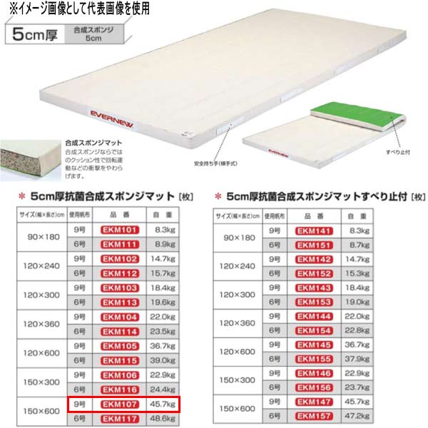 エバニュー 5珊厚 抗菌組みあわせる 海綿質引っ敷き EKM107 幅150×長600珊 9号キャンヴァス