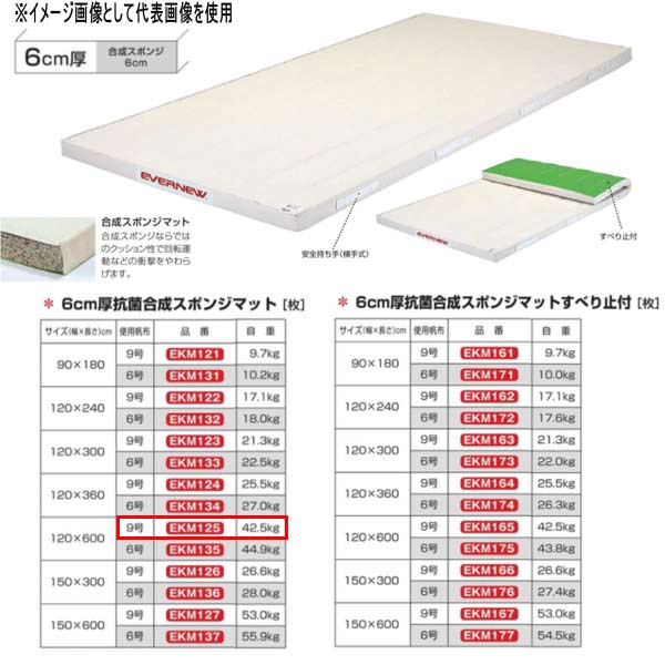 エバニュー 6珊厚 抗菌組みあわせる 海綿質引っ敷き EKM125 幅120×長600珊 9号キャンヴァス