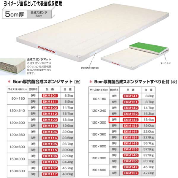 エバニュー 5糎厚 抗菌練りあわせる 海綿体つや消しすべり止付 EKM143 幅120×長300糎 9号キャンヴァス