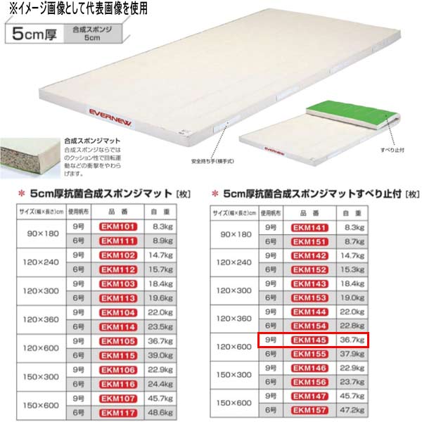 エバニュー 5珊厚 抗菌組みあわせる 海綿質引っ敷きすべり止付 EKM145 幅120×長600珊 9号キャンヴァス