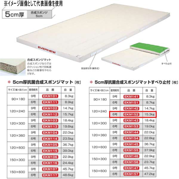 エバニュー 5糎厚 抗菌組みあわせる 海綿体つや消しすべり止付 EKM152 幅120×長240糎 6号キャンヴァス