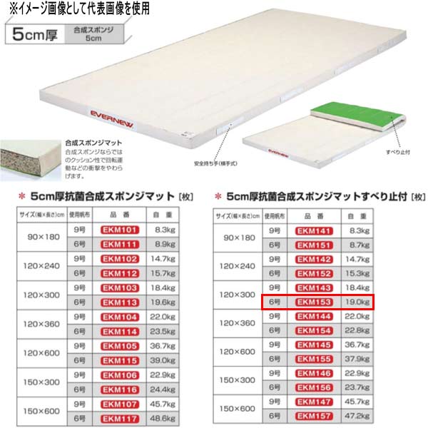 エバニュー 5糎厚 抗菌練りあわせる 海綿体つや消しすべり止付 EKM153 幅120×長300糎 6号キャンヴァス