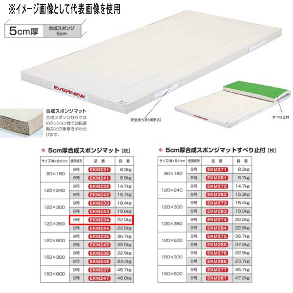 エバニュー 5糎厚練りあわせる海綿体つや消し EKM234 幅120×長360糎 9号キャンヴァス