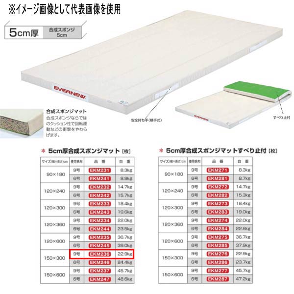 エバニュー 5糎厚練りあわせる海綿体つや消し EKM236 幅150×長300糎 9号キャンヴァス