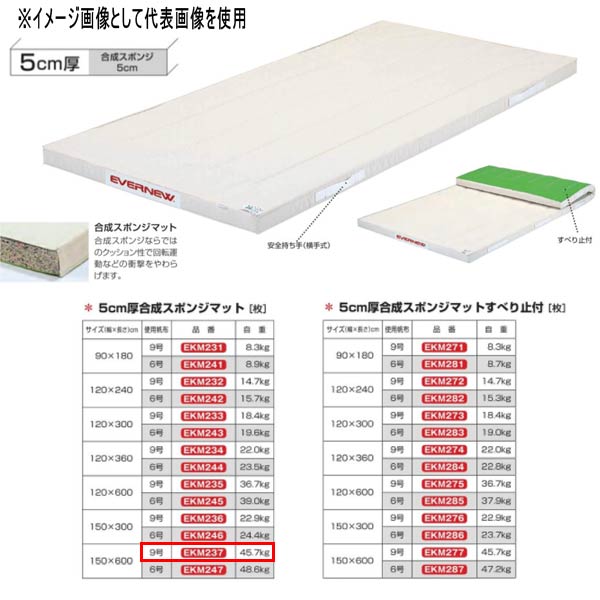 エバニュー 5糎厚練りあわせる海綿体つや消し EKM237 幅150×長600糎 9号キャンヴァス