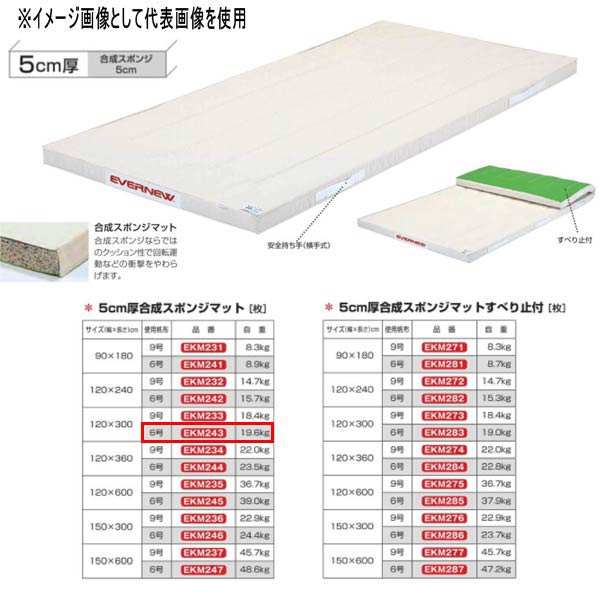 エバニュー 5糎厚組みあわせる海綿体つや消し EKM243 幅120×長300糎 6号キャンヴァス