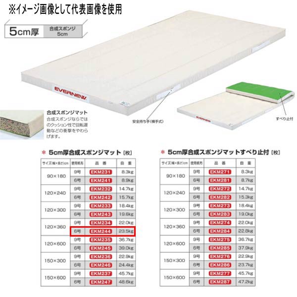 エバニュー 5糎厚練りあわせる海綿体つや消し EKM244 幅120×長360糎 6号キャンヴァス
