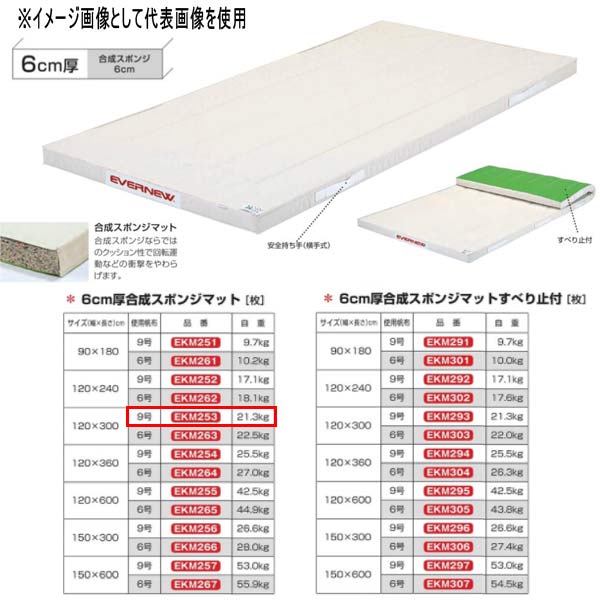 エバニュー 6糎厚組みあわせる海綿体つや消し EKM253 幅120×長300糎 9号キャンヴァス