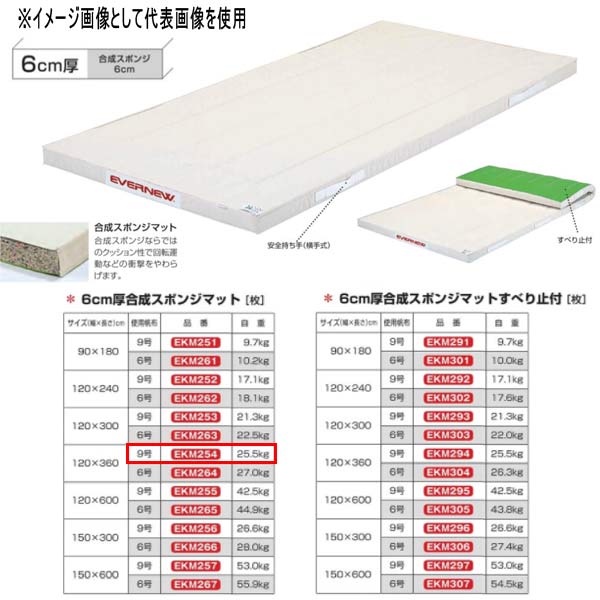 エバニュー 6糎厚練りあわせる海綿体つや消し EKM254 幅120×長360糎 9号キャンヴァス