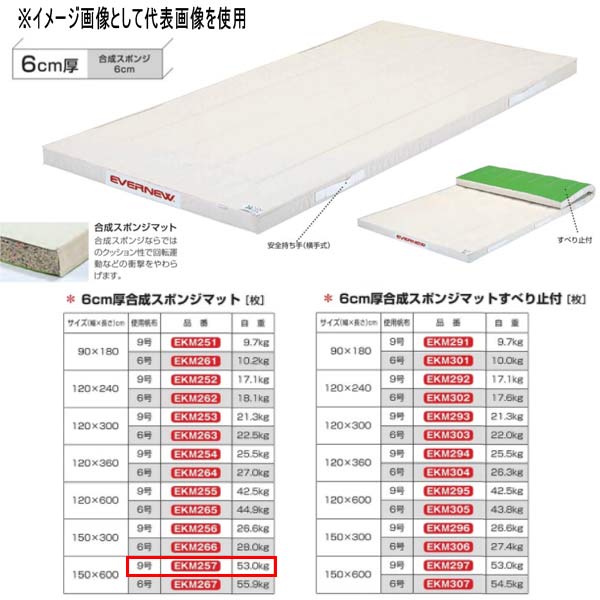 エバニュー 6珊厚組みあわせる海綿質引っ敷き EKM257 幅150×長600珊 9号キャンヴァス