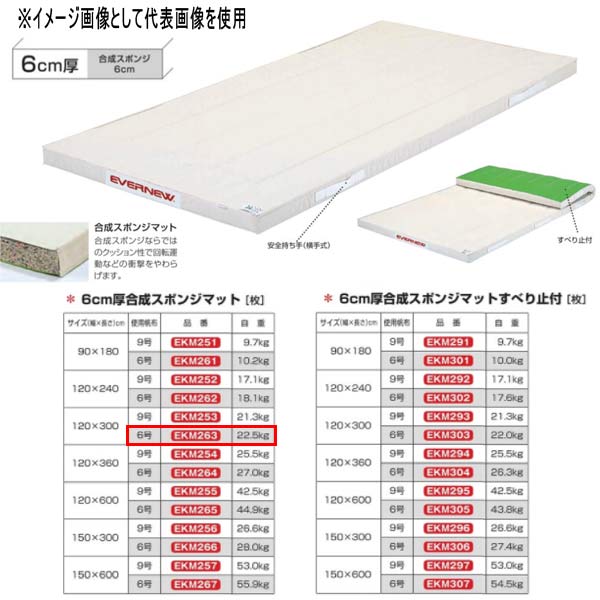 エバニュー 6糎厚組みあわせる海綿体つや消し EKM263 幅120×長300糎 6号キャンヴァス
