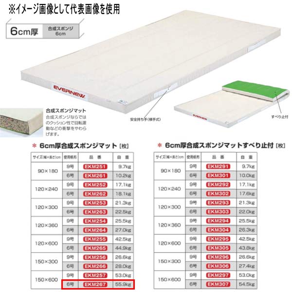 エバニュー 6珊厚組みあわせる海綿質引っ敷き EKM267 幅150×長600珊 6号キャンヴァス