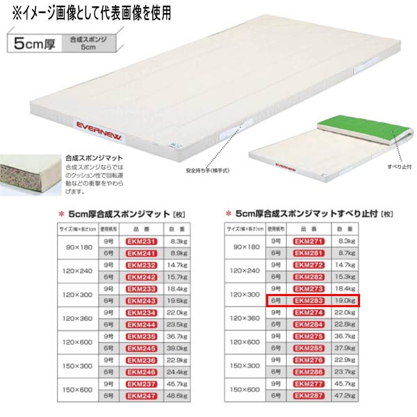 エバニュー 5糎厚練りあわせる海綿体つや消しすべり止付 EKM283 幅120×長300糎 6号キャンヴァス