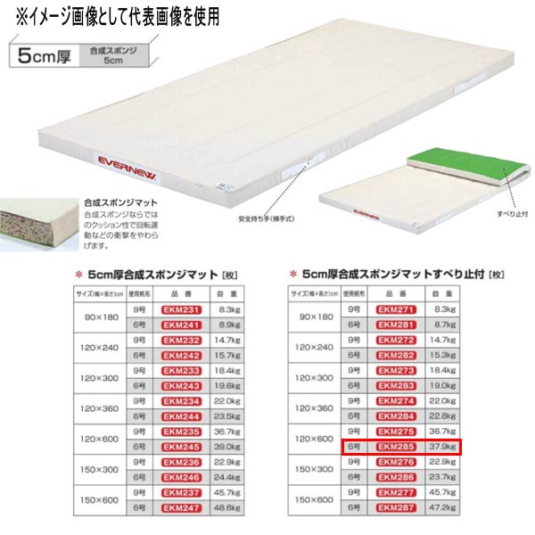 エバニュー 5珊厚組みあわせる海綿質引っ敷きすべり止付 EKM285 幅120×長600珊 6号キャンヴァス