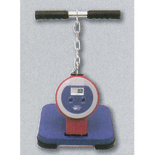 nishi-t3501.jpg