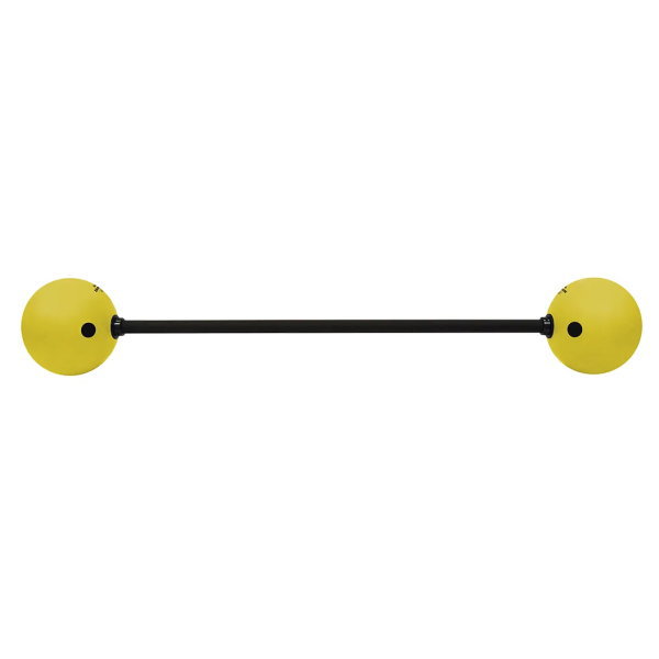 ニシスポーツ ボールバー 15kg 全長1500mm 3833A856