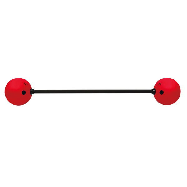 ニシスポーツ ボールバー 25kg 全長1500mm 3833A858