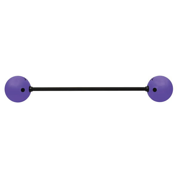 ニシスポーツ ボールバー 30kg 全長1500mm 3833A859