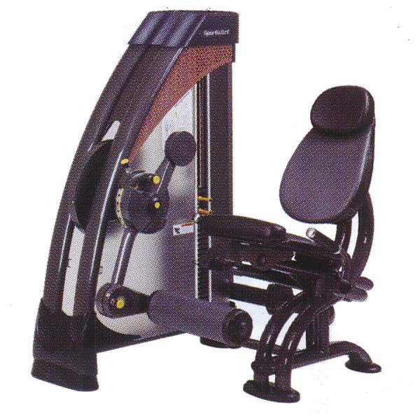 楽天市場】スポーツアート レッグエクステンション&レッグカール DF300