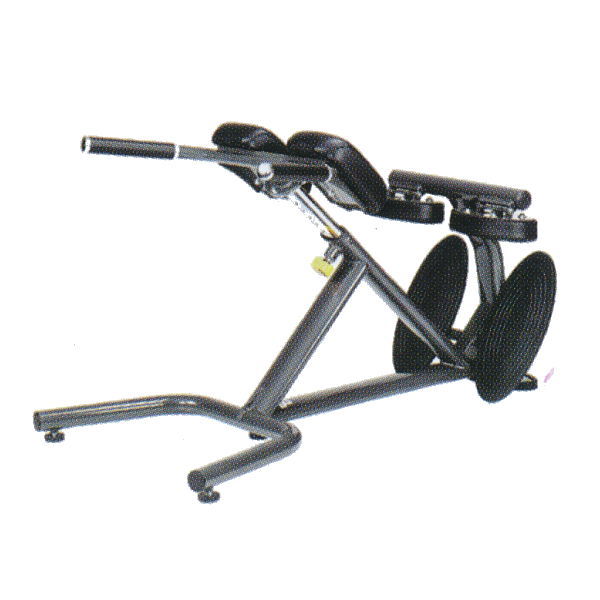 楽天市場】スポーツアート クランチベンチ A995II NT3826 : イーヅカ