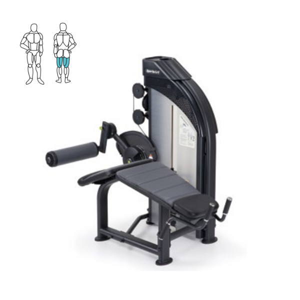 楽天市場】スポーツアート レッグエクステンション&レッグカール DF300