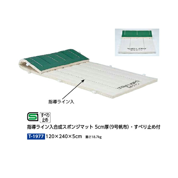 トーエイライト 指導ライン入り合成スポンジマット 5cm厚 9号帆布・すべり止め付 120×240×5cm T1977