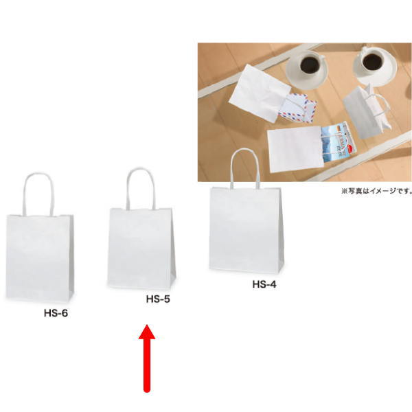 手付 手提げ袋 348504 HS-5 片ツヤムジ 180×120×220 400枚