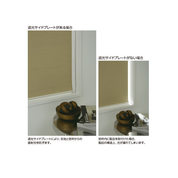 楽天市場】タチカワ ロールスクリーン用オプション ラルクシールド