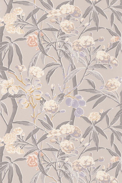テシード インポート壁紙 CASADECO (フランス共和国) 53cm×10m巻 CBBA84331212