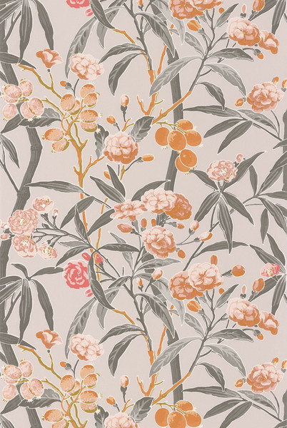 テシード インポート壁紙 CASADECO (フランス共和国) 53cm×10m巻 CBBA84333348