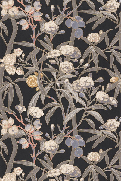 テシード インポート壁紙 CASADECO (フランス共和国) 53cm×10m巻 CBBA84339535