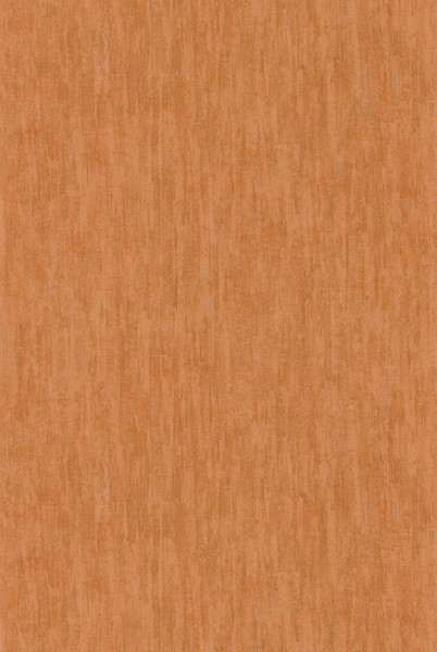 テシード インポート壁紙 CASADECO (フランス共和国) 53cm×10m巻 CBBA84363347