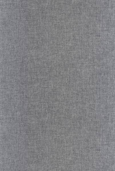 テシード インポート壁紙 CASELIO (フランス共和国) 53cm×10m巻 LNE103229434