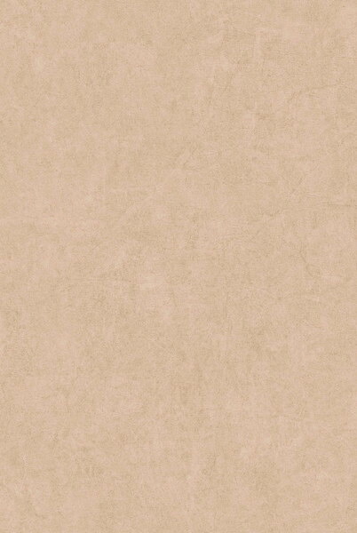 テシード 輸入壁紙 CASADECO (フランス) 53cm&times;10m NOVA82181213｜イーヅカ