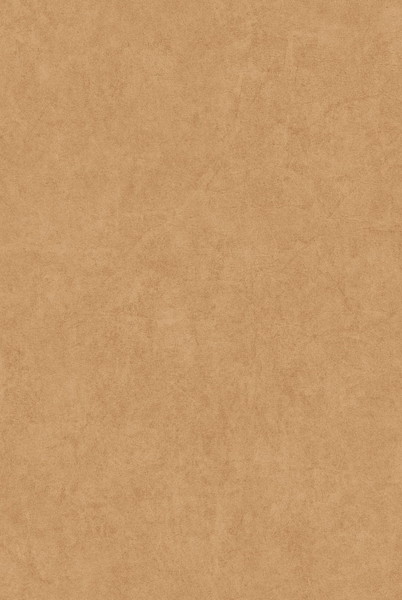 テシード 輸入壁紙 CASADECO (フランス) 53cm×10m NOVA82182417|イーヅカ