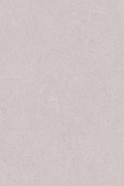 テシード 輸入壁紙 CASADECO (フランス) 53cm×10m NOVA82189227