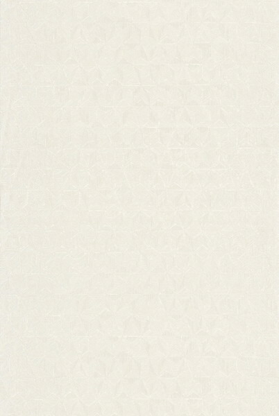 テシード 輸入壁紙 CASADECO (フランス) 53cm×10m NOVA84140101