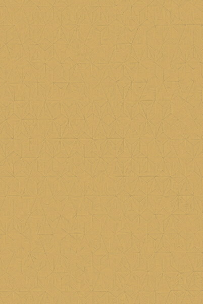 テシード 輸入壁紙 CASADECO (フランス) 53cm×10m NOVA84142231