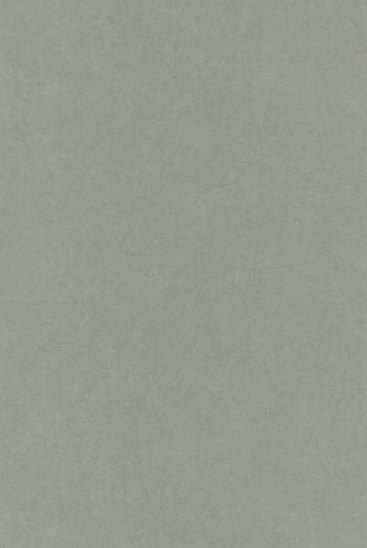 テシード 輸入壁紙 CASADECO (フランス) 53cm×10m OXFD82387117