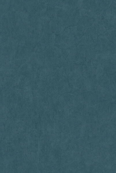 テシード 輸入壁紙 CASADECO (フランス) 53cm×10m OXFD82387525