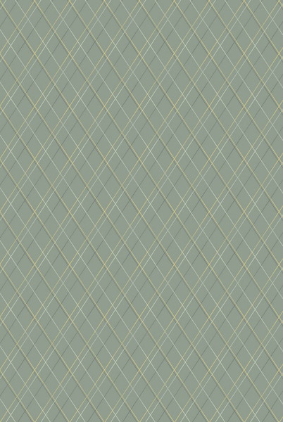 テシード 輸入壁紙 CASADECO (フランス) 53cm×10m OXFD84137313