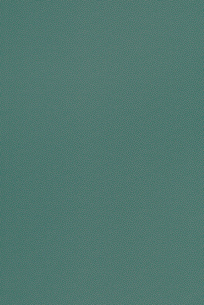 テシード 輸入壁紙 CASELIO (フランス) 53cm×10m巻 OYS100407926