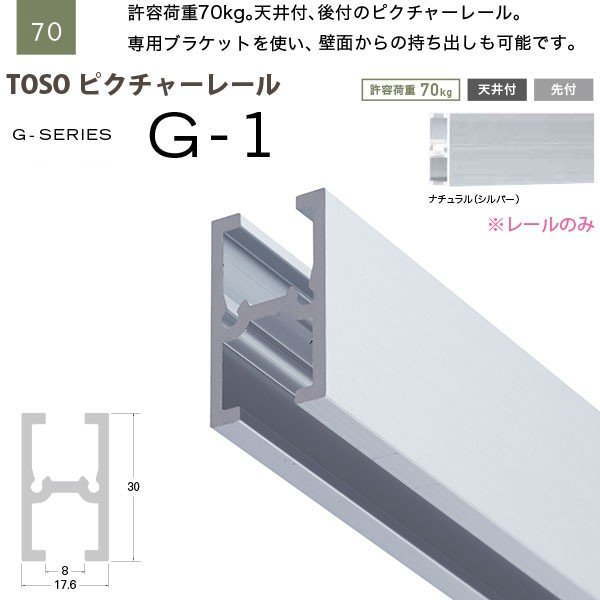 市場 トーソー G-1 レールのみ ピクチャーレール