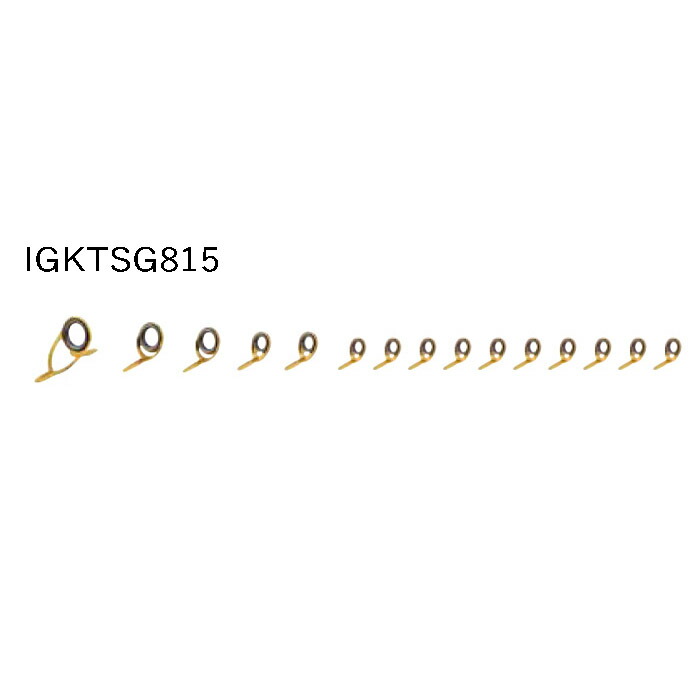 IGKTSG815 ガイドセット トップガイドなし I.P.ゴールドカラー ステンレスSiC SIC ヘチセット 富士工業 Fuji工業 フジ ステンレスフレーム SiCリング ヘチ・イカダ クロダイ｜インターシュート店