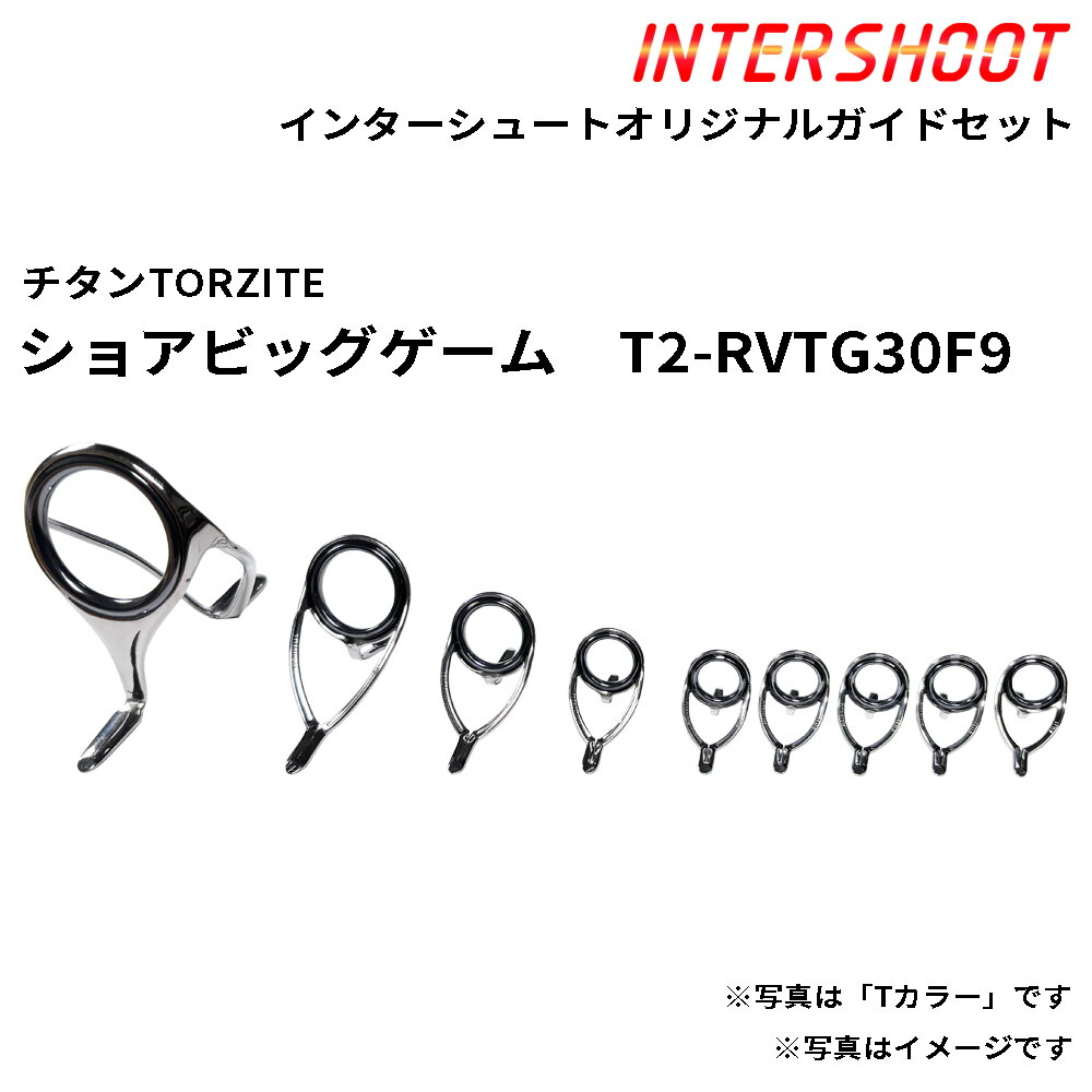 ショアビッグゲームガイドセット チタンTORZITE T2-RVTG30F9-IS T2色合い スピニング T2-RVTG30F T2-KWTG20 T2-KWTG16 T2-KWTG12 T2-KWTG10 トルザイト 富士工業 Fuji フジ 御釣り 沖釣り 大型葉物 比較的小型 GT ツナ ヒラマサ 泳がせ 極点部分品 極点建造物