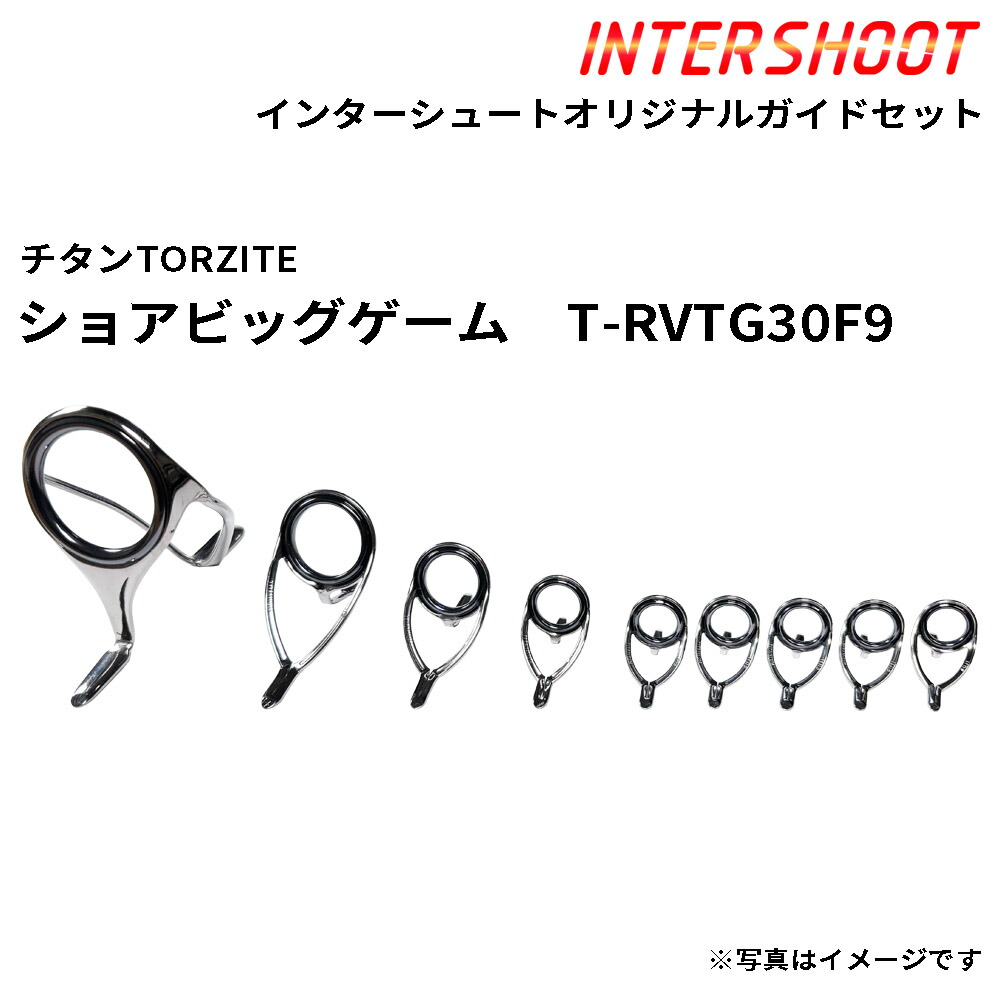 ショアビッグゲームガイドセット チタンTORZITE T-RVTG30F9-IS スピニング T-RVTG30F T-KWTG20 T-KWTG16 T-KWTG12 T-KWTG10 トルザイト 富士工業 Fuji フジ 御釣り 沖釣り 大型葉物 比較的小型 GT ツナ ヒラマサ 泳がせ 極点 極点部分品 極点建造物