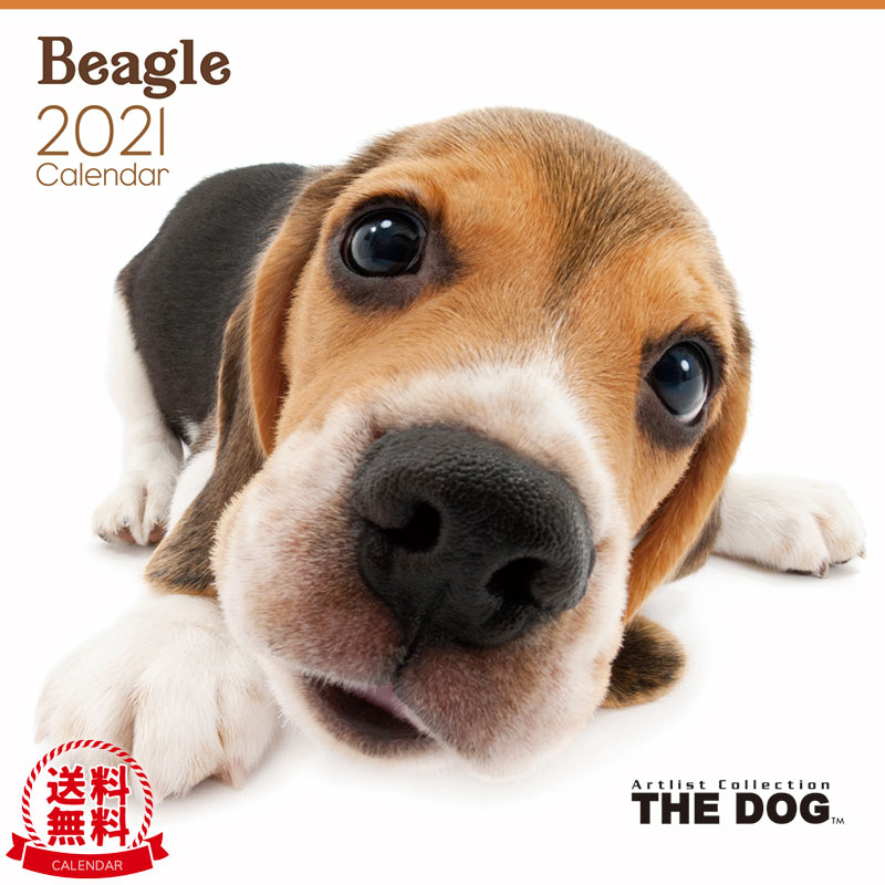 楽天市場 送料無料 The Dog 21年 カレンダー ビーグル 犬 ドッグ ペット Calendar 令和 壁掛け Interzoo Clinicclub