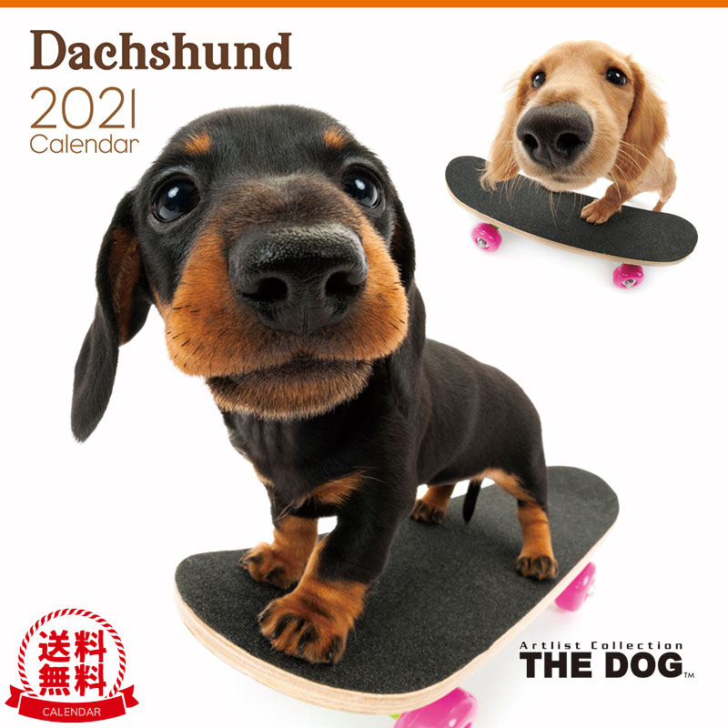 楽天市場 送料無料 The Dog 21年 カレンダー ダックスフンド 犬 ドッグ ペット Calendar 令和 壁掛け Interzoo Clinicclub