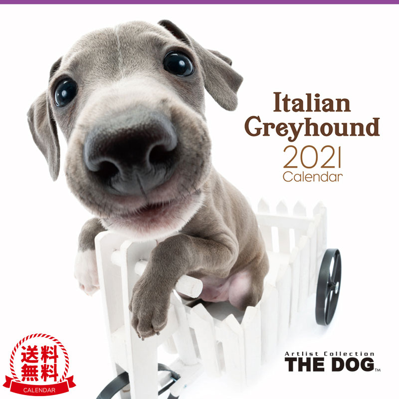 楽天市場 送料無料 The Dog 21年 カレンダー イタリアングレイハウンド 犬 ドッグ ペット Calendar 令和 壁掛け Interzoo Clinicclub
