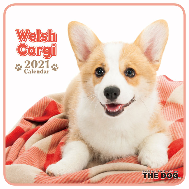 楽天市場 メール便可 The Dog 21年 ミニカレンダー ウェルシュコーギー 犬 ドッグ ペット Calendar 令和 壁掛け Interzoo Clinicclub